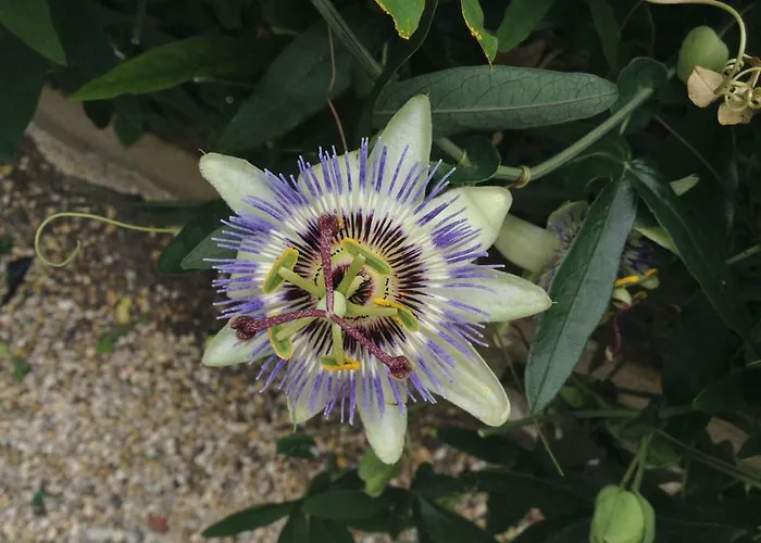 L'estanquet Pdj Offert 3* Gastes